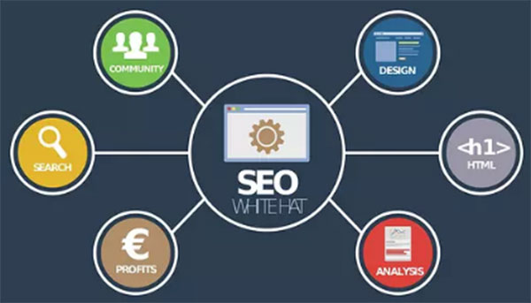 SEO、優(yōu)化、網(wǎng)站優(yōu)化